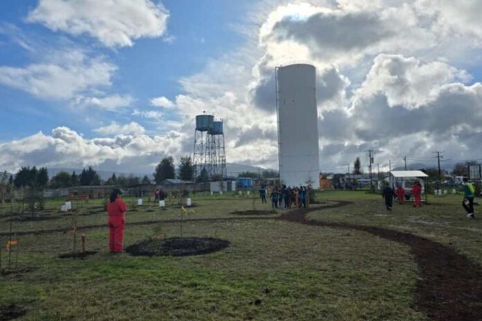CONAF presenta avances y desafíos del Programa de Emergencia de Empleo con fuerte contratación femenina y participación multicultural