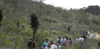 CONAF reactiva Consejo Consultivo del Parque Nacional Bosque Fray Jorge con amplia participación de actores locales