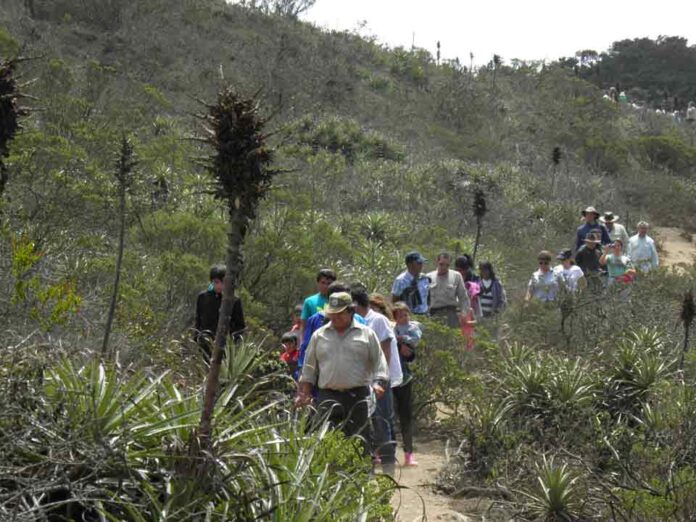 CONAF reactiva Consejo Consultivo del Parque Nacional Bosque Fray Jorge con amplia participación de actores locales