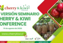 Segunda versión de Cherry & Kiwi Conference será nuevamente el epicentro de la fruticultura nacional Segunda versión de Cherry & Kiwi Conference será nuevamente el epicentro de la fruticultura nacional