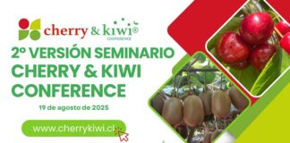 Segunda versión de Cherry & Kiwi Conference será nuevamente el epicentro de la fruticultura nacional