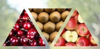 ProChile | Chile alcanza récord en exportaciones de alimentos gracias al impulso frutícola