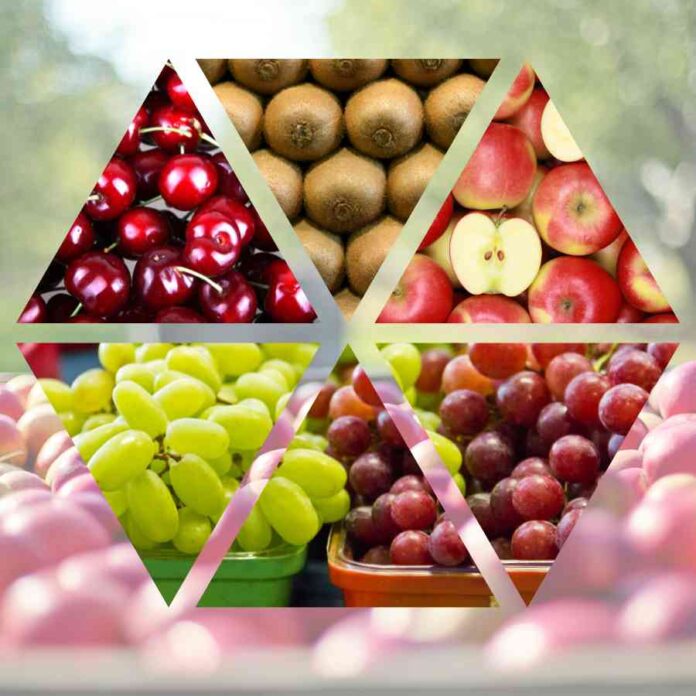 Chile alcanza récord en exportaciones de alimentos ProChile | Chile alcanza récord en exportaciones de alimentos gracias al impulso frutícola