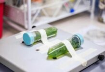 Chile da el primer paso hacia una política pública para el desarrollo de la biotecnología Chile da el primer paso hacia una política pública para el desarrollo de la biotecnología