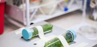 Chile da el primer paso hacia una política pública para el desarrollo de la biotecnología