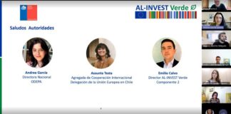 Chile presenta el primer diagnóstico técnico sobre el impacto del reglamento europeo de productos libres de deforestación (eudr) en las cadenas bovina y forestal