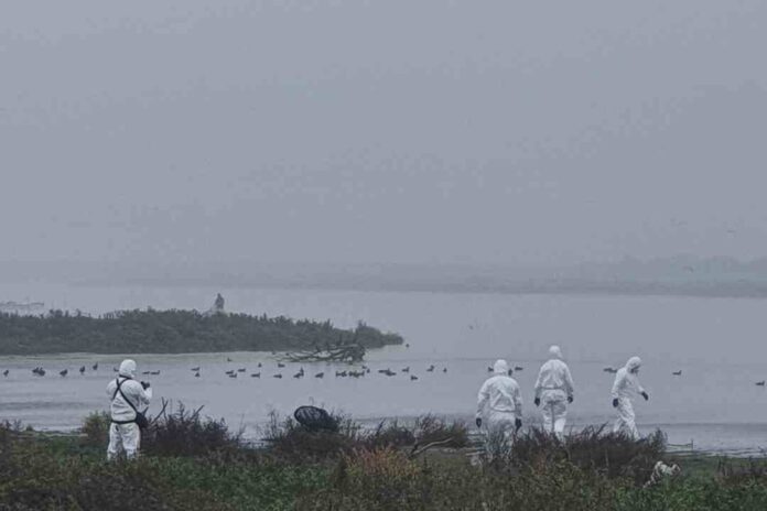 Chile, único país de Latinoamérica seleccionado por la FAO para liderar proyecto que fortalece la respuesta ante emergencias zoosanitarias Chile, único país de Latinoamérica seleccionado por la FAO para liderar proyecto que fortalece la respuesta ante emergencias zoosanitarias