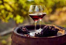 Chile y su encrucijada vitivinícola