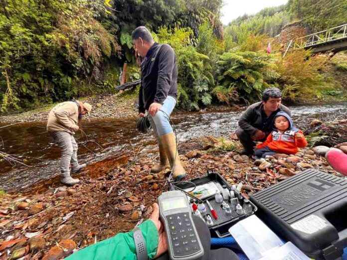 Ciencia Ciudadana Organización Ser del Sur busca impulsar acciones de conservación a través del Huillín (1) Ciencia Ciudadana: Organización Ser del Sur busca impulsar acciones de conservación a través del Huillín