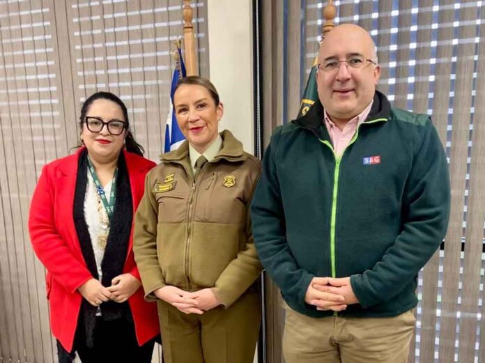 Contra el abigeato: SAG y Carabineros llaman a productores a cumplir con la Declaración de Existencia Animal