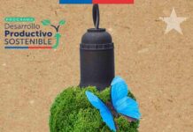 Crece Sostenible: primer programa de sostenibilidad para microempresas y cooperativas de Sercotec