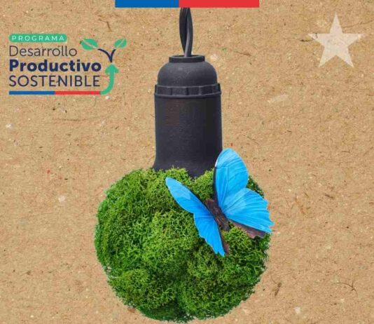 Crece Sostenible: primer programa de sostenibilidad para microempresas y cooperativas de Sercotec Crece Sostenible: primer programa de sostenibilidad para microempresas y cooperativas de Sercotec