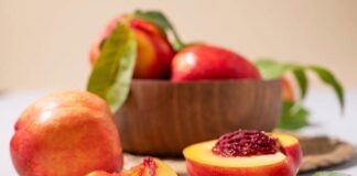 Duraznos y nectarinas: ¿qué países lideran el consumo y exportación en América Latina?