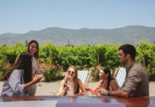 El gran momento del turismo vitivinícola sustentable en el Valle de Colchagua