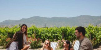 El gran momento del turismo vitivinícola sustentable en el Valle de Colchagua