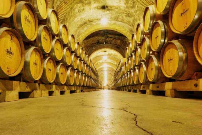 El valor de las exportaciones de vino, con denominación de origen, se incrementaron en 3% El valor de las exportaciones de vino, con denominación de origen, se incrementaron en 3%