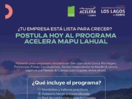 Empresas multisectoriales ya pueden postular al programa Acelera Mapu Lahual de Corfo Los Lagos