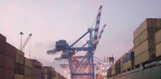 Exportaciones de la Región de Coquimbo crecieron 46% el primer semestre impulsadas por productos del agro