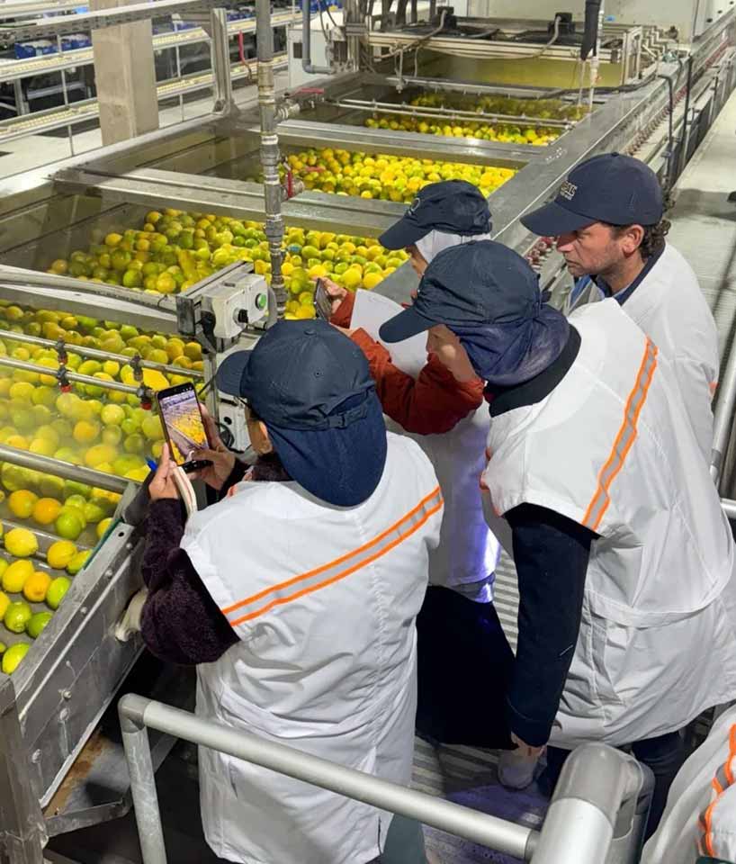 Frutas de Chile y SAG destacan visita de delegación fitosanitaria de Indonesia para apertura de mercado para limones chilenos y validación del Sistema Nacional de Inocuidad