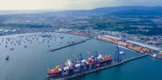 Gerente general de Puerto Coronel sobre Encuentro Binacional en Neuquén "Debemos consolidar al Biobío como la puerta de salida natural para la exportación de productos de la Patagonia Argentina" 