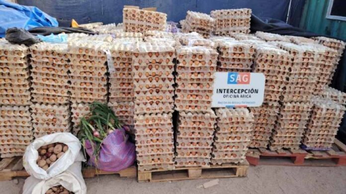 Huevos de contrabando desde Bolivia que inquieta al agro chileno