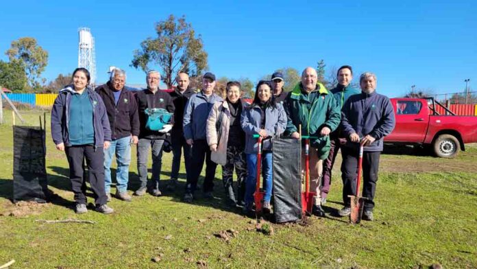 INFOR y SAG impulsan Centro Experimental pionero para promover prácticas agroforestales sostenibles INFOR y SAG impulsan Centro Experimental pionero para promover prácticas agroforestales sostenibles