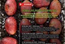 INIA La Platina y CONAF invitan a ciclo de charlas sobre almacenamiento de semillas nativas para resguardo genético del bosque chileno