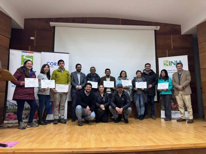 INIA Remehue y CORFO impulsan la producción sostenible de hortalizas en la Región de Los Lagos INIA Remehue y CORFO impulsan la producción sostenible de hortalizas en la Región de Los Lagos