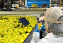 Indonesia podría abrir muy pronto sus puertas a los limones de Chile