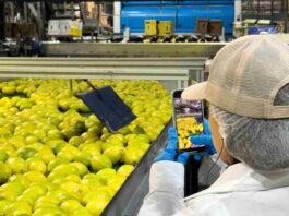 Indonesia podría abrir muy pronto sus puertas a los limones de Chile