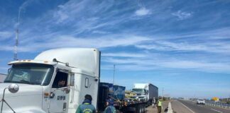 Intensa fiscalización de CONAF Coquimbo al transporte de productos del bosque nativo