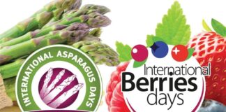 International Asparagus Days e International Berries Days unirán sus fuerzas en Burdeos del 7 al 10 de octubre de 2025 (1)