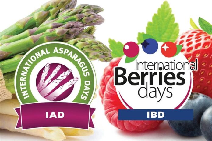 International Asparagus Days e International Berries Days unirán sus fuerzas en Burdeos del 7 al 10 de octubre de 2025 (1) International Asparagus Days e International Berries Days unirán sus fuerzas en Burdeos del 7 al 10 de octubre de 2025 (1)