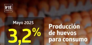 La producción de huevos de consumo presentó un aumento interanual de 3,2% en mayo de 2025