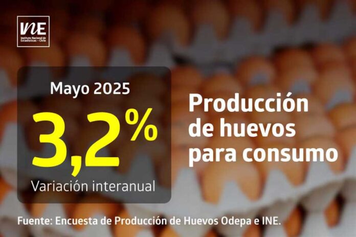 La producción de huevos de consumo presentó un aumento interanual de 3,2% en mayo de 2025 La producción de huevos de consumo presentó un aumento interanual de 3,2% en mayo de 2025