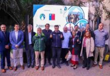 Lácteos de Chile para el mundo: Minagri anuncia la realización de la Cumbre Mundial de Lácteos 2025 en Santiago Lácteos de Chile para el mundo: Minagri anuncia la realización de la Cumbre Mundial de Lácteos 2025 en Santiago