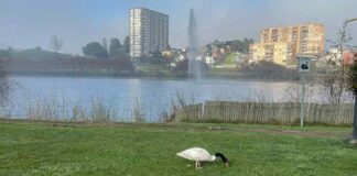 SAG Biobío realiza jornada educativa en lagunas urbanas de Concepción