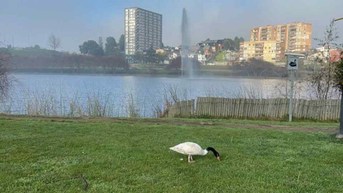 SAG Biobío realiza jornada educativa en lagunas urbanas de Concepción