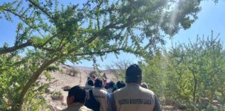 Liderazgos tradicionales indígenas se suman al desarrollo de la Reserva de Biósfera Lauca