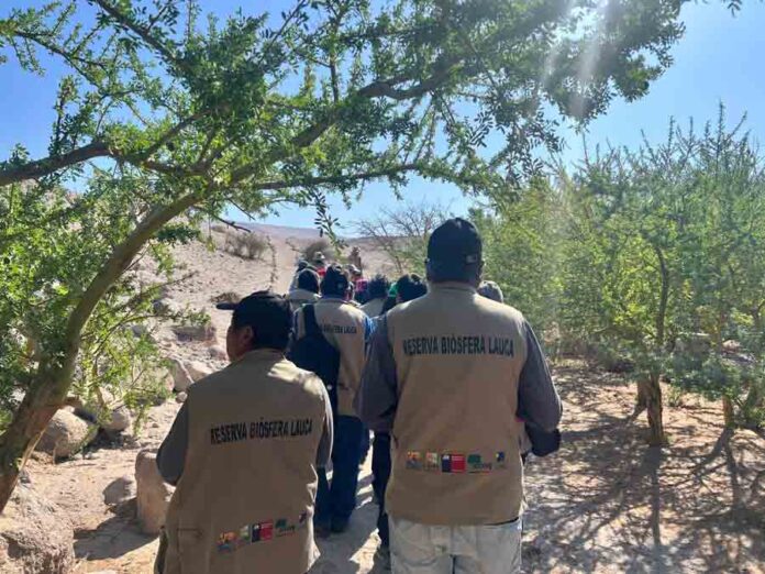 Liderazgos tradicionales indígenas se suman al desarrollo de la Reserva de Biósfera Lauca