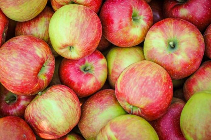 Manzana Honeycrisp: ¿Por Qué Su Precio se Ha Disparado Casi un Triple en EE. UU. Desde Mediados de 2024?