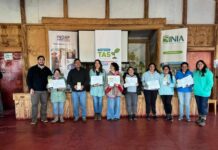 Más de 70 productores hortícolas avanzan hacia una agricultura más sostenible en la región de Los Lagos Más de 70 productores hortícolas avanzan hacia una agricultura más sostenible en la región de Los Lagos