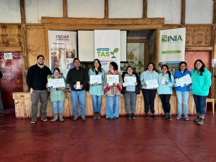 Más de 70 productores hortícolas avanzan hacia una agricultura más sostenible en la región de Los Lagos Más de 70 productores hortícolas avanzan hacia una agricultura más sostenible en la región de Los Lagos