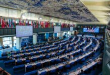 Ministerio de Agricultura destaca próxima aprobación por parte de la FAO del Día Internacional de las Frutas y Verduras