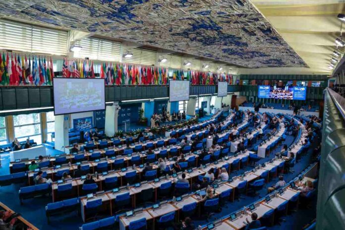 Ministerio de Agricultura destaca próxima aprobación por parte de la FAO del Día Internacional de las Frutas y Verduras