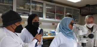 Revista internacional destaca a Chile en acuicultura y reconoce el aporte científico del Núcleo MASH en macroalgas