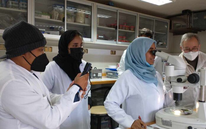 Revista internacional destaca a Chile en acuicultura y reconoce el aporte científico del Núcleo MASH en macroalgas Revista internacional destaca a Chile en acuicultura y reconoce el aporte científico del Núcleo MASH en macroalgas