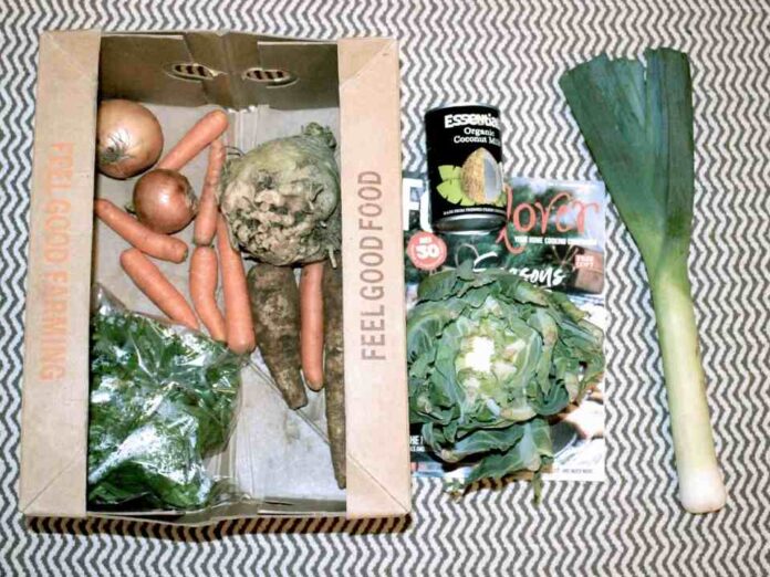 Packaging, más que envoltorio, un motor de posicionamiento para foodpreneurs