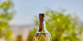 Pisco chileno obtiene doble oro en Londres y es elegido "Destilería del Año" en Nueva York