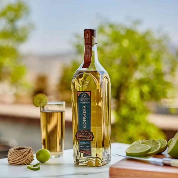 Pisco chileno obtiene doble oro en Londres y es elegido Pisco chileno obtiene doble oro en Londres y es elegido